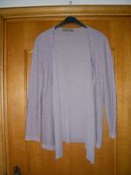 Lila cardigan met zilver glitter, Comme ça, 40, Vêtements | Femmes, Pulls & Gilets, Taille 38/40 (M), Enlèvement ou Envoi, Autres couleurs