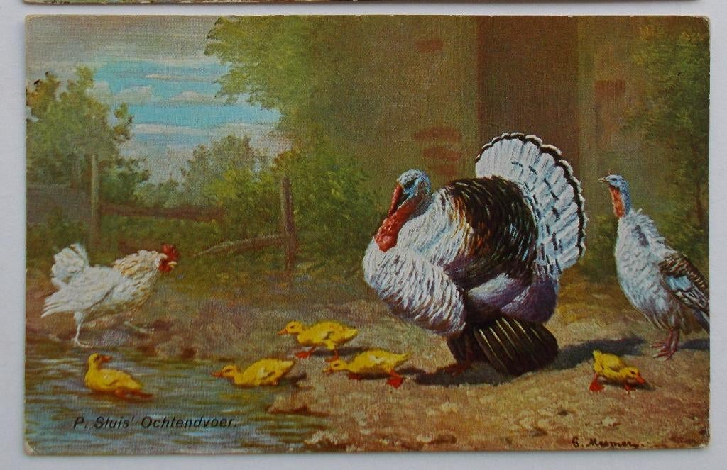 Oude postkaart kalkoenen - Gustav Mesmer, Verzenden, 1920 tot 1940, Ongelopen, Overige thema's