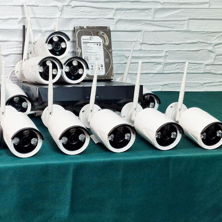 Bewakingscamera's met bewegingsmelder, Audio, Tv en Foto, Videobewaking, Ophalen