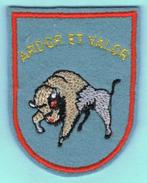 Belgian Air Force Sleeve Insignia ( MS 105 ), Emblème ou Badge, Armée de l'air, Enlèvement ou Envoi
