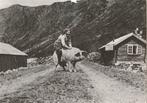 BOERIN  RIJD  OP  VARKEN  IN  NOORWEGEN  + Mooie postzegel !, Verzamelen, Postkaarten | Dieren, Verzenden, 1980 tot heden, Gelopen