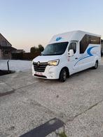 HORSETRUCK PAARDENCAMIONETTE 2/2023 ( 2X MAAL) Zie detail, Dieren en Toebehoren, Ophalen