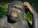 Statue de singe et de bébé, taille XXL, polystone, détaillée, Enlèvement ou Envoi