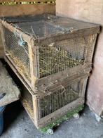 Transportbakken voor ganzen, eenden, duiven en konijnen, Dieren en Toebehoren, Pluimvee