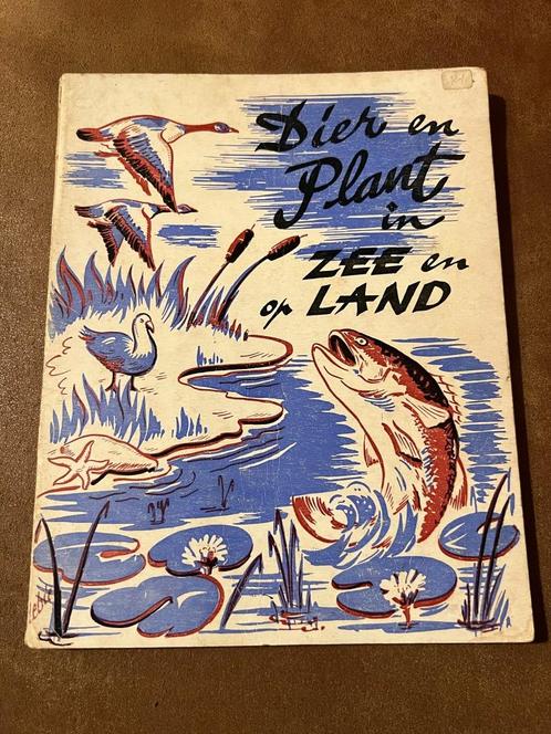 Dier en plant in zee en op land - J. Luytens, Livres, Animaux & Animaux domestiques, Utilisé, Autres espèces, Enlèvement ou Envoi