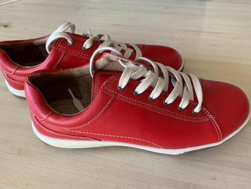 basket rouge neuve, Sport en Fitness, Basketbal, Nieuw, Schoenen, Ophalen of Verzenden