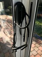 Hoofdstel stubben, Enlèvement