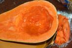 15 Graines Sucrine de Berry,automne 2024, 2€ envoi non-prior, Ophalen of Verzenden, Voorjaar, Volle zon, Zaad