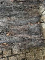 Canisse, Enlèvement ou Envoi, Utilisé, Autres types, Bois