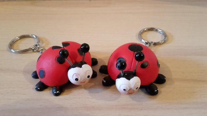 Onze-Lieve-Heersbeestjes/sleutelhanger, Enfants & Bébés, Cadeaux d'accouchement & Assiettes de naissance, Enlèvement ou Envoi