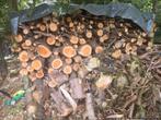Brandhout coniferen, Tuin en Terras, Ophalen