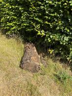 Brandhout gratis, Tuin en Terras, Brandhout, 3 tot 6 m³, Ophalen, Stammen