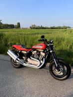 Harley-Davidson XR 1200, Motos, Motos | Harley-Davidson, Particulier, 1200 cm³