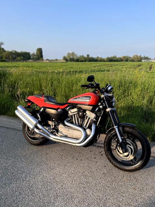 Harley-Davidson XR1200, Motoren, Motoren | Harley-Davidson, Particulier, Ophalen of Verzenden