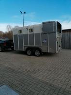 Gesloten aanhangwagen, Immo