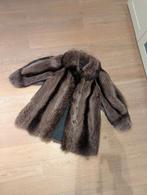Manteau en fourrure de castor - manteau court - état impecca, Collections, Collections Animaux, Enlèvement ou Envoi, Comme neuf