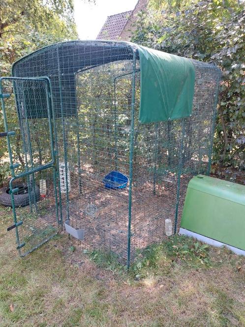 Omlet konijnenren 2x2x2 en Eglu Go konijnenhok, Dieren en Toebehoren, Knaagdieren en Konijnen | Hokken en Kooien, Gebruikt, Kooi