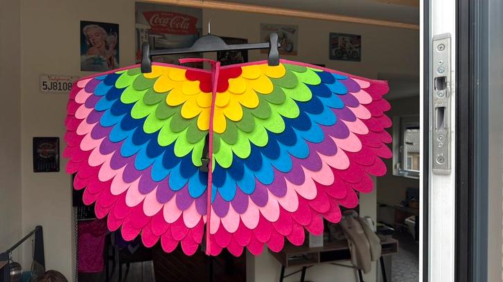 Carnaval half vasten optocht kleurrijke pakjes vogels, Kleding | Heren, Carnavalskleding en Feestkleding, Gedragen, Kleding, Overige maten