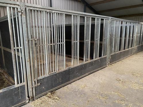 Opfok wanden, Dieren en Toebehoren, Stalling en Weidegang