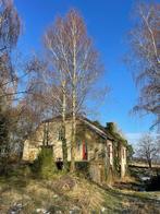 Vends ancien Moulin à Eau Authentique à Rénover Complètement, Immo, Étranger, Village, 6 pièces, Maison d'habitation, Stenay