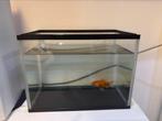 Aquarium 20L (zonder vis)  36L/ 22B/ 26H, Ophalen