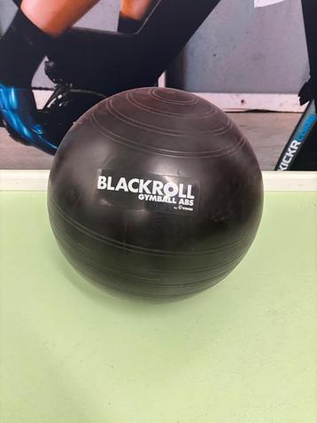 12 Blackroll Gymballs beschikbaar voor biedingen