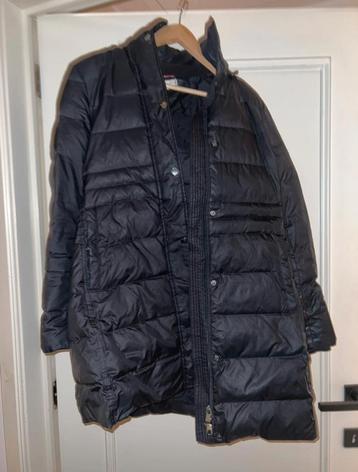 Tommy Hilfiger jas – maat S beschikbaar voor biedingen