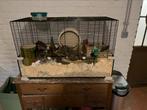 Groote hamster kooi met veel toebehoren, Ophalen, Kooi, Gebruikt, 60 tot 90 cm