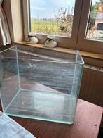 Aquarium, Enlèvement, Comme neuf