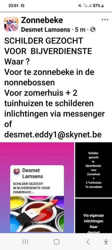 GEZOCHT SCHILDER IN BIJVERDIENSTE  ( HOBBY ) beschikbaar voor biedingen