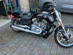 Vrscf Vrod muscle, Motoren, Motoren | Harley-Davidson, 2 cilinders, Meer dan 35 kW, ABS, Chopper