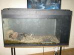 Leeg aquarium 200L met interne sump met onderstel, Dieren en Toebehoren, Ophalen, Gebruikt, Leeg aquarium