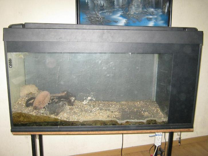 Leeg aquarium 200L met interne sump met onderstel, Dieren en Toebehoren, Vissen | Aquaria en Toebehoren, Gebruikt, Leeg aquarium