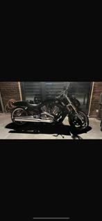 Harley Davidson VROD Muscle plus Pot Spécial DAM, Motos, Motos | Harley-Davidson, 1250 cm³, Particulier