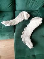 Angel or demon?, Ophalen of Verzenden, Nieuw, Accessoires