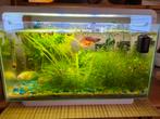 Aquarium Superfish Home 30, Dieren en Toebehoren, Vissen | Aquaria en Toebehoren, Ophalen, Zo goed als nieuw