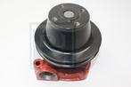 Waterpomp B16 PV444+PV544+Duett+Amazon -1959 (418031) 403838, Auto-onderdelen, -, -, Nieuw, Ophalen of Verzenden