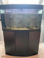 Aquarium met kast 180 Liter Juwel, Ophalen, Gebruikt, Leeg aquarium