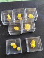 Cristaux de soufre en provenance d'Italie, Enlèvement ou Envoi, Minéral