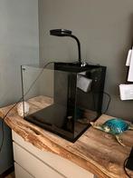 Zeeaquarium met veel toebehoren, Dieren en Toebehoren, Ophalen, Zo goed als nieuw
