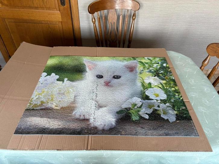 puzzel 1500 stuks ravensburger , afb. wit katje, Hobby en Vrije tijd, Denksport en Puzzels, Zo goed als nieuw, Legpuzzel, 500 t/m 1500 stukjes
