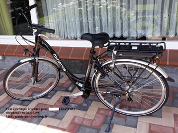 elektrische fiets   beschikbaar voor biedingen