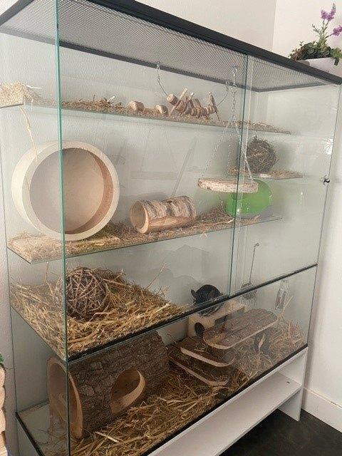 XXL terrarium voor degoes en chinchilla, Dieren en Toebehoren, Knaagdieren en Konijnen | Hokken en Kooien, Nieuw, Hok, 90 cm of meer