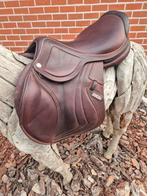 Recente cwd mademoiselle 17 inch, Dieren en Toebehoren, Ophalen, Zo goed als nieuw, Springen