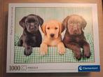 Puzzel - clementoni - 1000 st - puppy's, Ophalen, Zo goed als nieuw