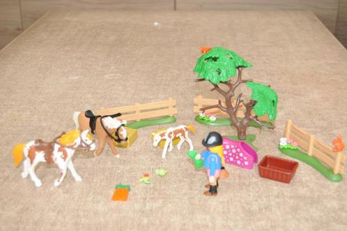 Playmobil 5227 paddock meadow avec 2 chevaux et poulains com, Enfants & Bébés, Jouets | Playmobil, Comme neuf, Ensemble complet