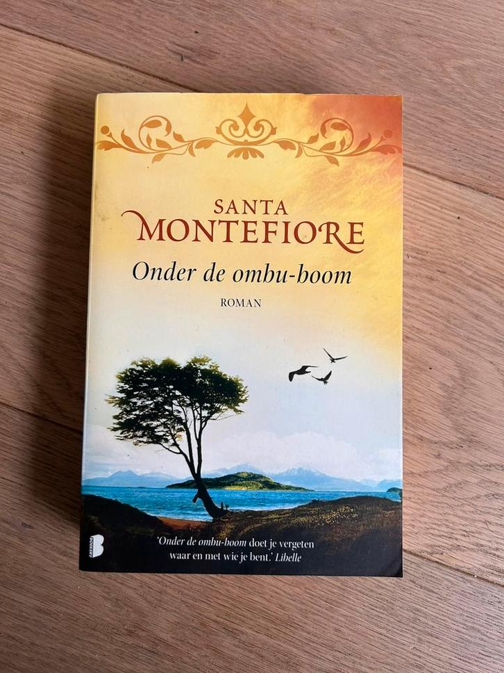 Santa Montefiore - Onder de ombu-boom, Livres, Littérature, Enlèvement ou Envoi