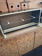 Nieuw vogelkooi, Ophalen, Nieuw, Hout, Vogelkooi