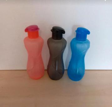 Gourdes  beschikbaar voor biedingen