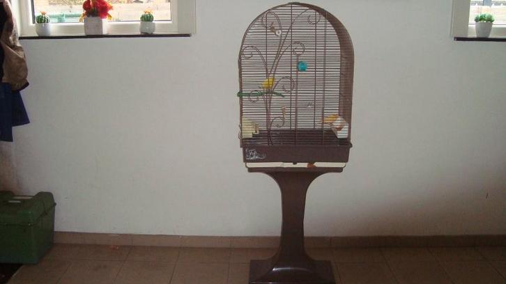 vogel kooi, Dieren en Toebehoren, Vogels | Hokken en Kooien, Gebruikt, Vogelkooi, Metaal, Ophalen